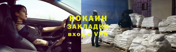 крисы Алзамай