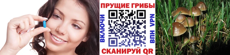 Псилоцибиновые грибы Psilocybe  kraken зеркало  Киржач 
